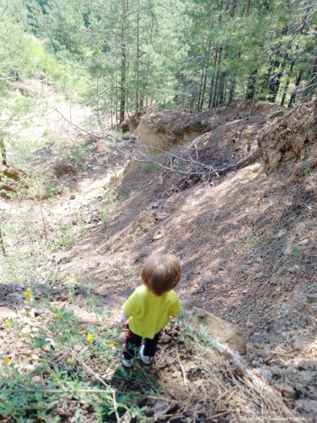 Лето, лес и песок — Куклы Lori (Лори): Battat