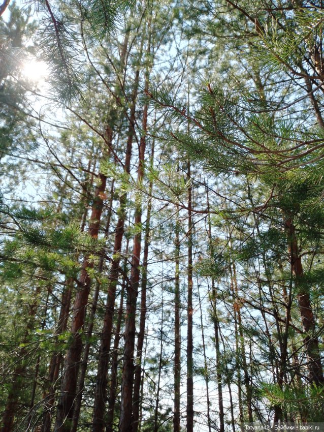 Лето, лес и песок — Куклы Lori (Лори): Battat (фото 8)