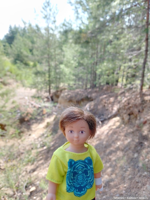 Лето, лес и песок — Куклы Lori (Лори): Battat