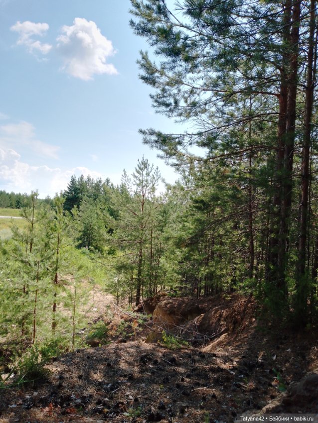 Лето, лес и песок — Куклы Lori (Лори): Battat