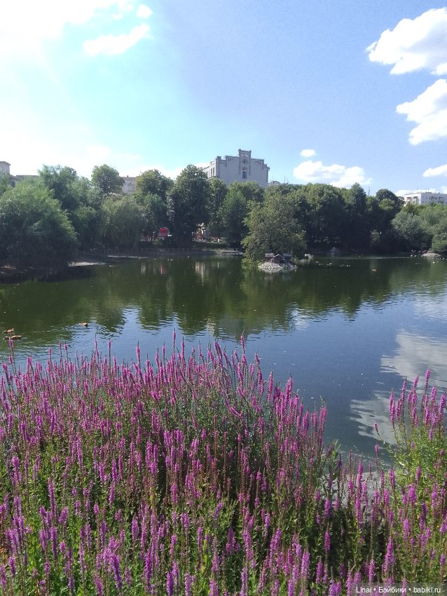 Где мы побывали для съёмки кадров Лины в роли травницы