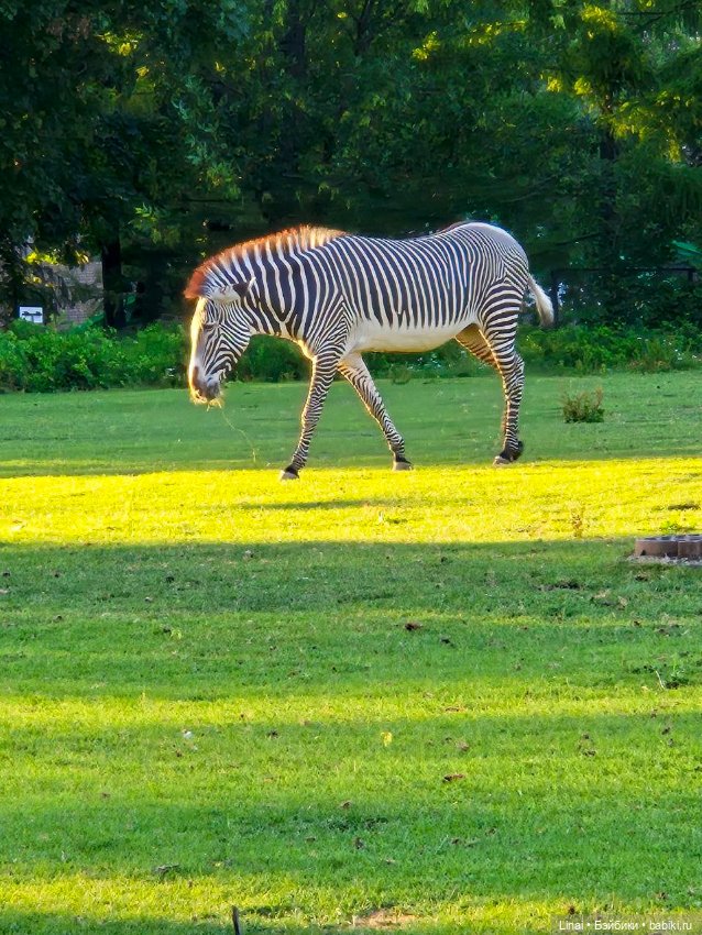 Где мы побывали для съёмки кадров Лины в роли травницы