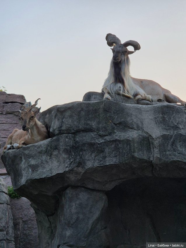 Где мы побывали для съёмки кадров Лины в роли травницы