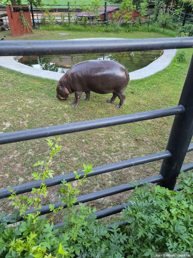 Где мы побывали для съёмки кадров Лины в роли травницы