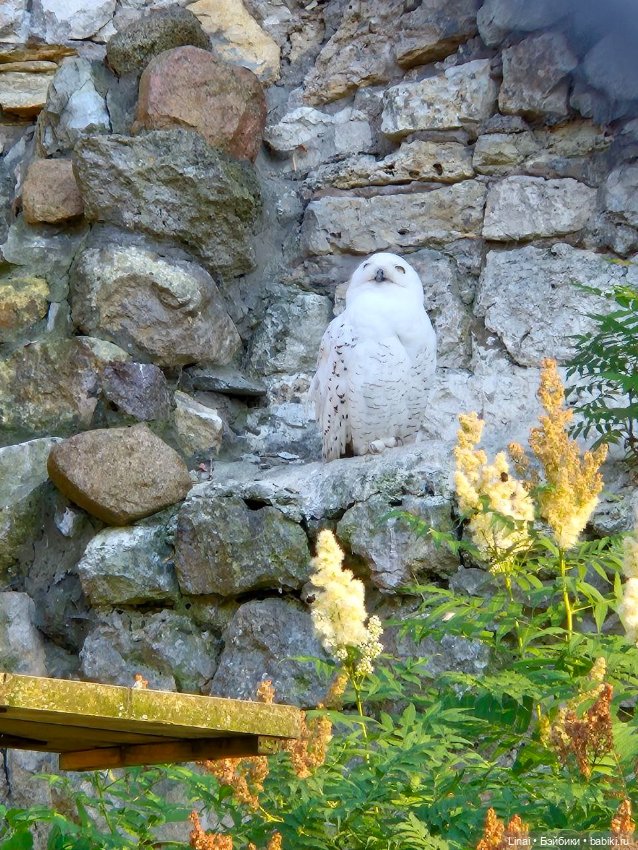 Где мы побывали для съёмки кадров Лины в роли травницы