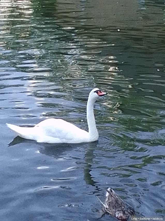 Где мы побывали для съёмки кадров Лины в роли травницы