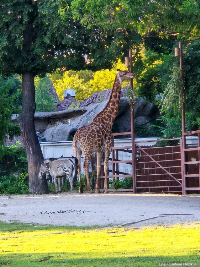 Где мы побывали для съёмки кадров Лины в роли травницы