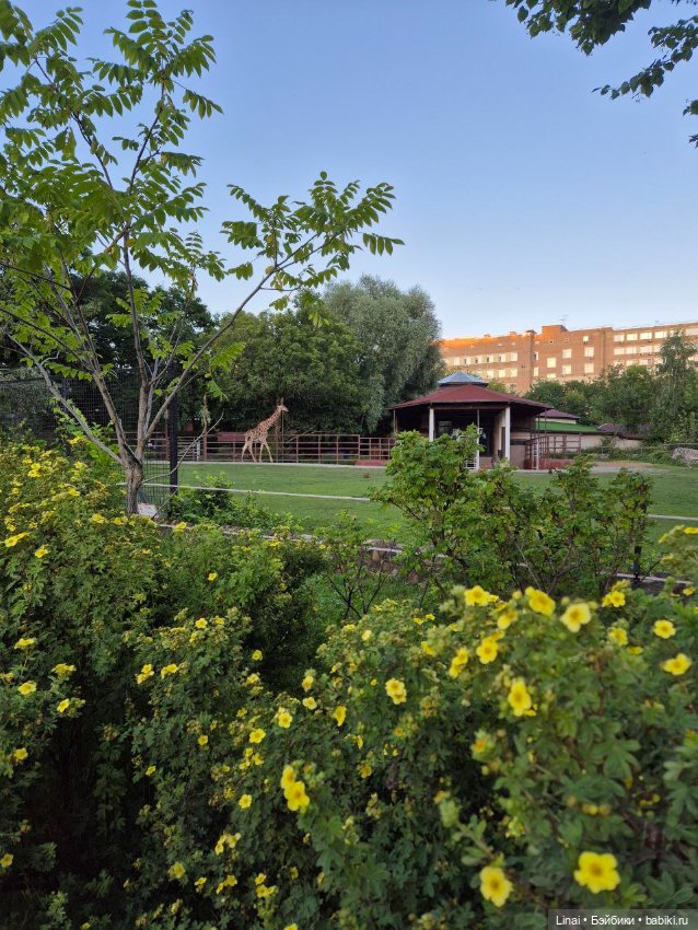 Где мы побывали для съёмки кадров Лины в роли травницы