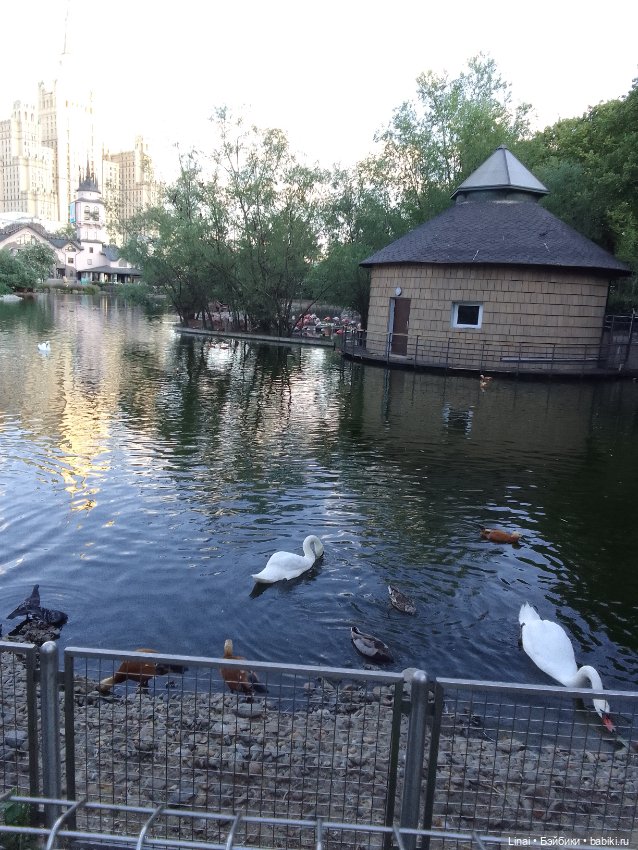 Где мы побывали для съёмки кадров Лины в роли травницы