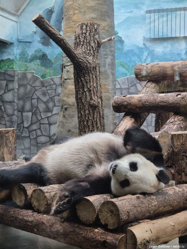 Где мы побывали для съёмки кадров Лины в роли травницы (фото 9)