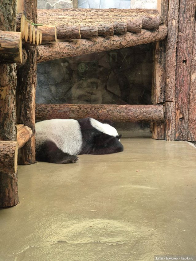 Где мы побывали для съёмки кадров Лины в роли травницы (фото 8)