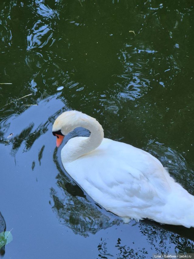 Где мы побывали для съёмки кадров Лины в роли травницы