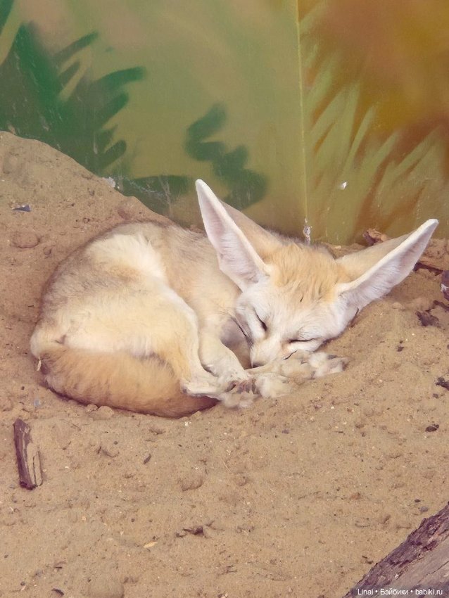 Где мы побывали для съёмки кадров Лины в роли травницы