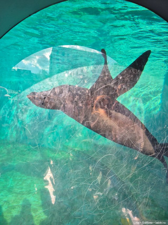 Где мы побывали для съёмки кадров Лины в роли травницы