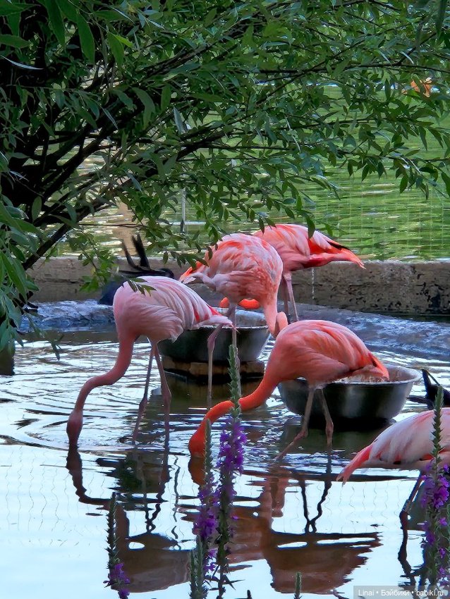 Где мы побывали для съёмки кадров Лины в роли травницы