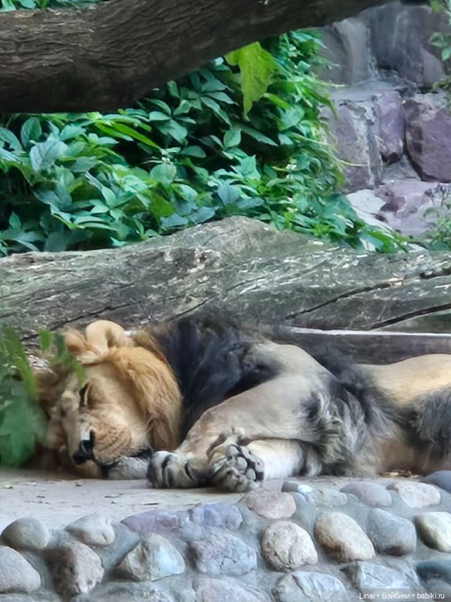 Где мы побывали для съёмки кадров Лины в роли травницы