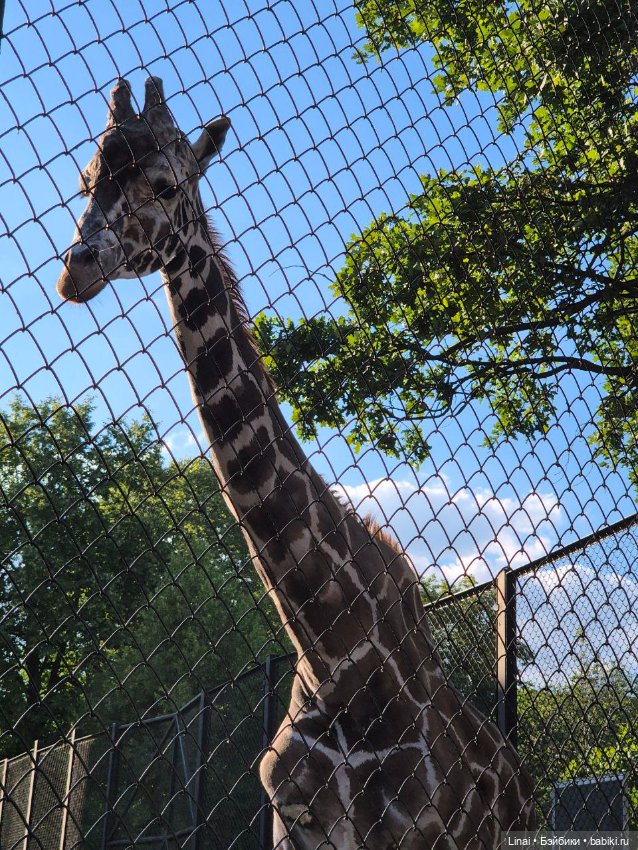 Где мы побывали для съёмки кадров Лины в роли травницы (фото 10)