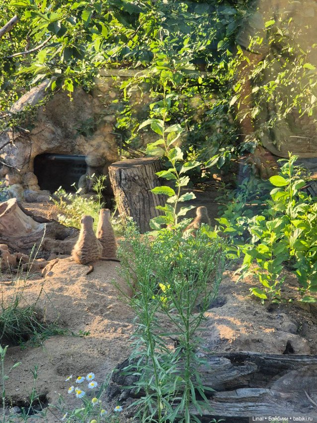 Где мы побывали для съёмки кадров Лины в роли травницы