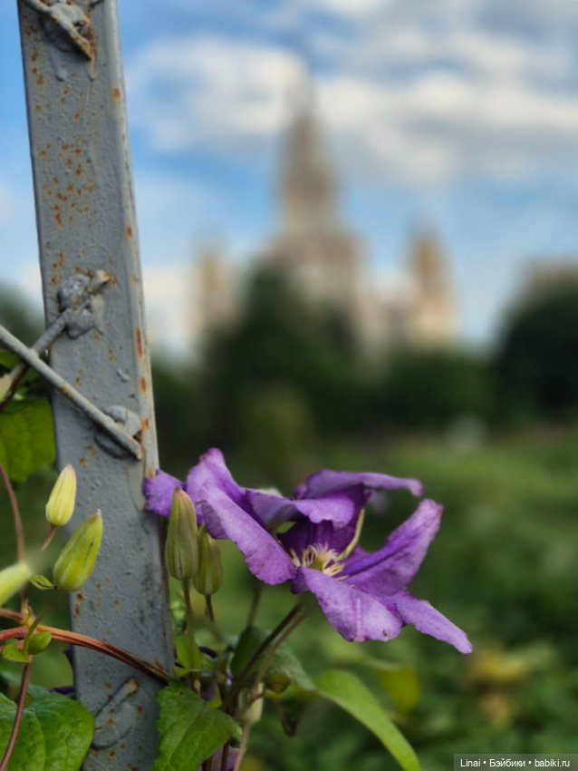 Продолжение Лининых приключений в Ботаническом саду (фото 10)