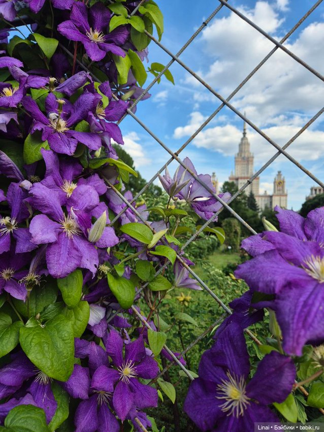 Продолжение Лининых приключений в Ботаническом саду (фото 8)