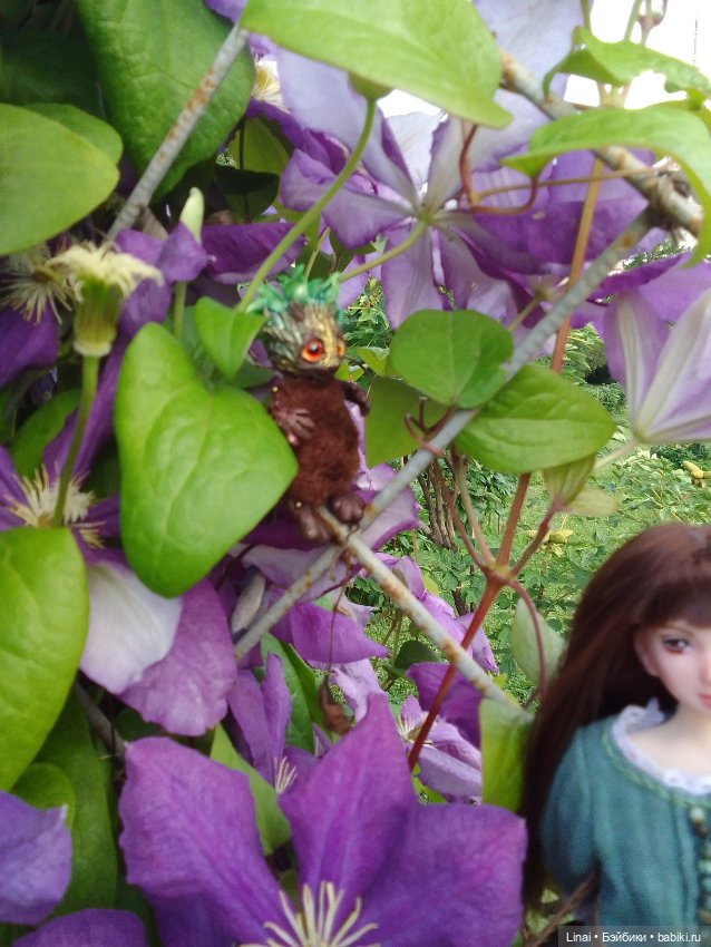 Продолжение Лининых приключений в Ботаническом саду