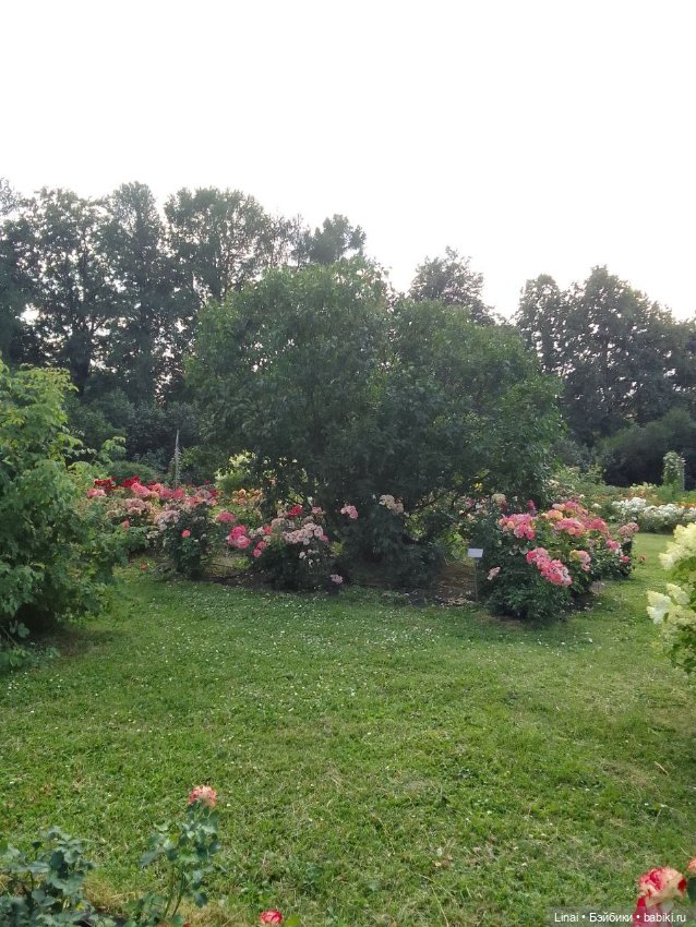 Продолжение Лининых приключений в Ботаническом саду