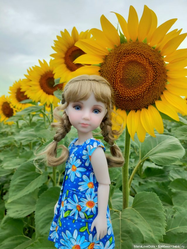 И снова деревня родная моя (фото 6)