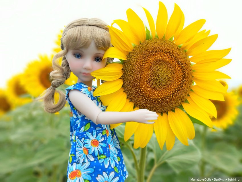 И снова деревня родная моя (фото 5)