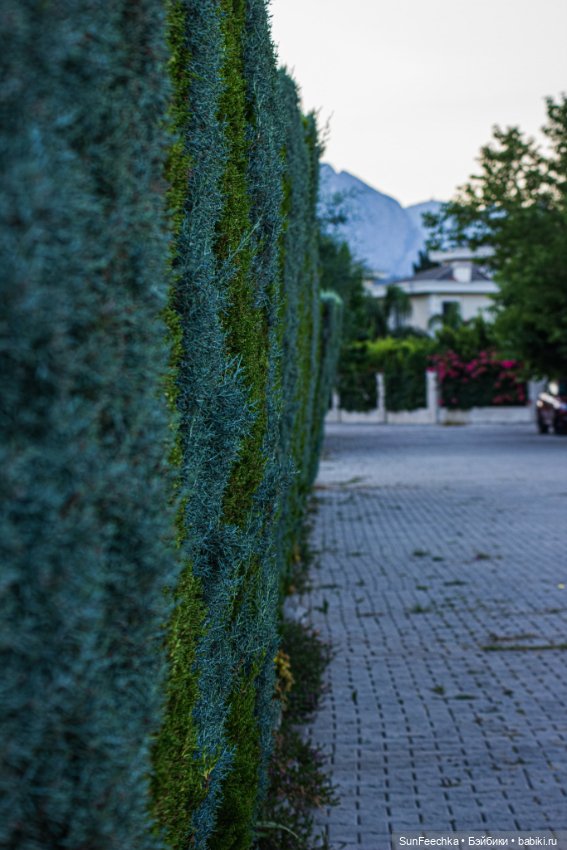 Просто отпускные фотки вдогонку отпуска :)