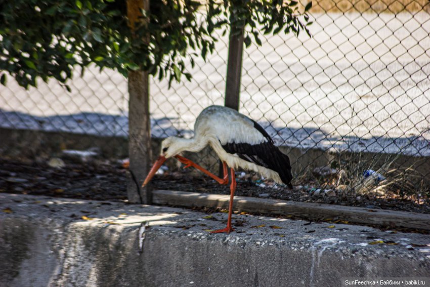 Просто отпускные фотки вдогонку отпуска :)