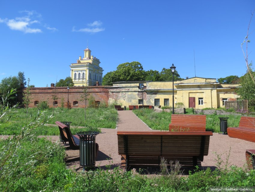 Ruby Red Siblies в Кронштадте летом (фото 9)