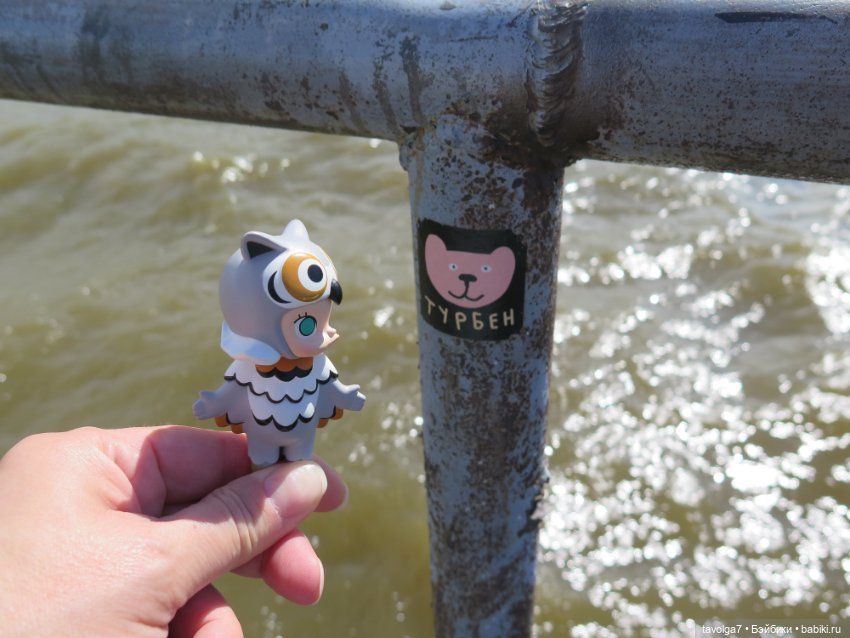 Ruby Red Siblies в Кронштадте летом (фото 4)