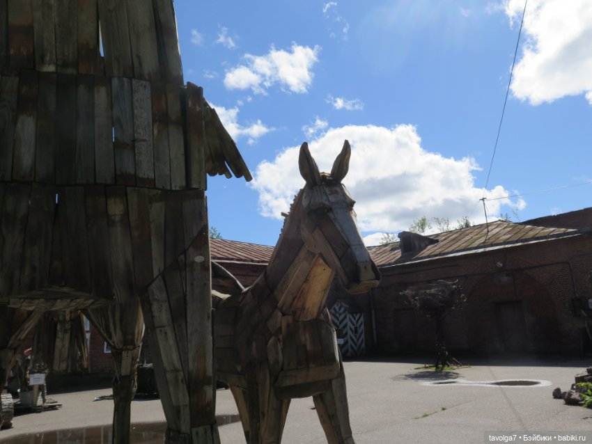 Ruby Red Siblies в Кронштадте летом