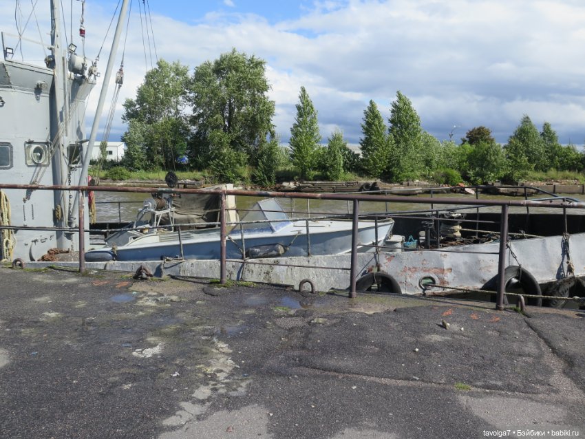 Ruby Red Siblies в Кронштадте летом (фото 6)