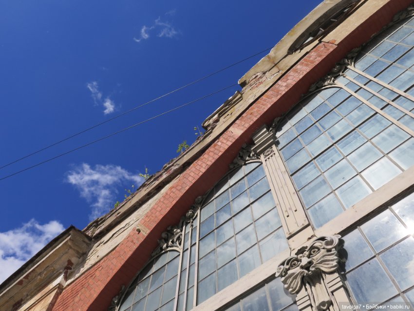 Ruby Red Siblies в Кронштадте летом