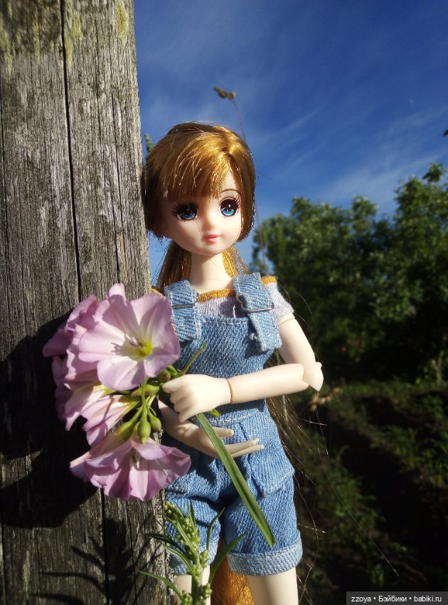 Букет июля — Гибриды шарнирных кукол (не БЖД): подбор тела (фото 7)