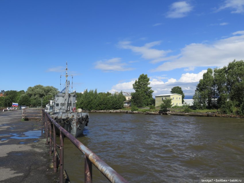 Ruby Red Siblies в Кронштадте летом (фото 5)