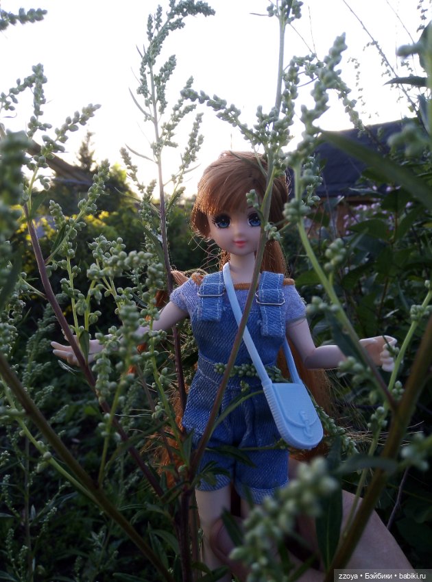Букет июля — Гибриды шарнирных кукол (не БЖД): подбор тела
