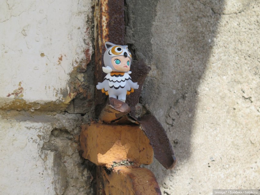 Ruby Red Siblies в Кронштадте летом