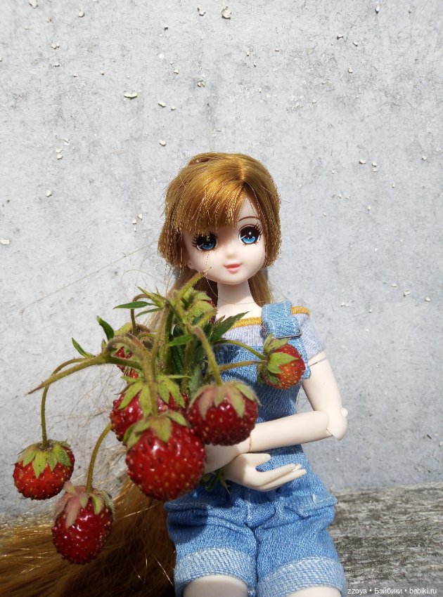 Букет июля — Гибриды шарнирных кукол (не БЖД): подбор тела (фото 2)