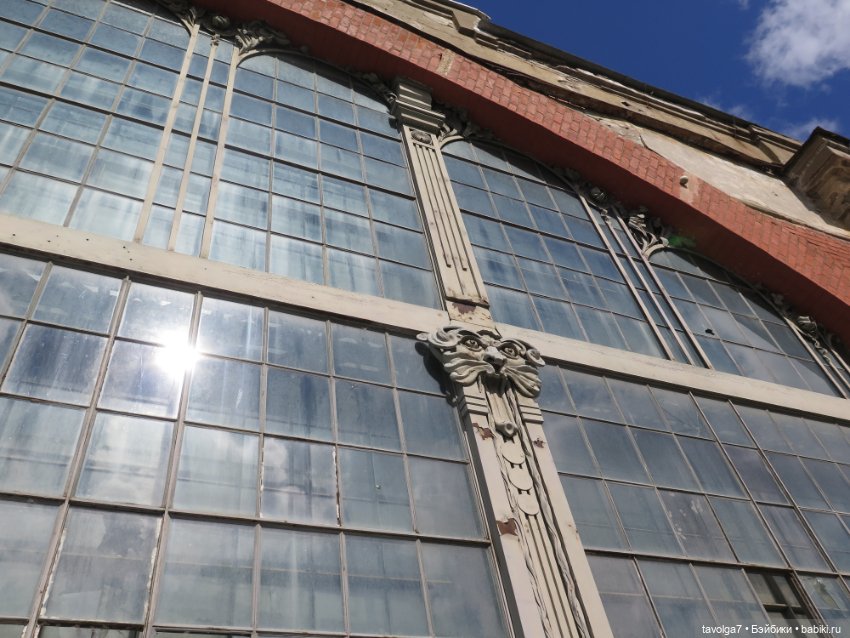 Ruby Red Siblies в Кронштадте летом