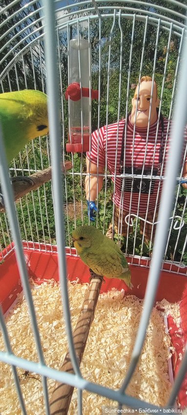 ВиктОр и его хобби — Коллекции игровых кукол (Playline): фото полок (фото 2)