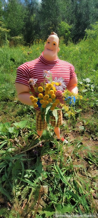 ВиктОр и его хобби — Коллекции игровых кукол (Playline): фото полок (фото 3)