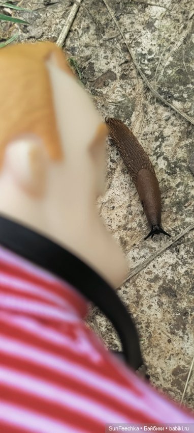 ВиктОр и его хобби — Коллекции игровых кукол (Playline): фото полок (фото 6)