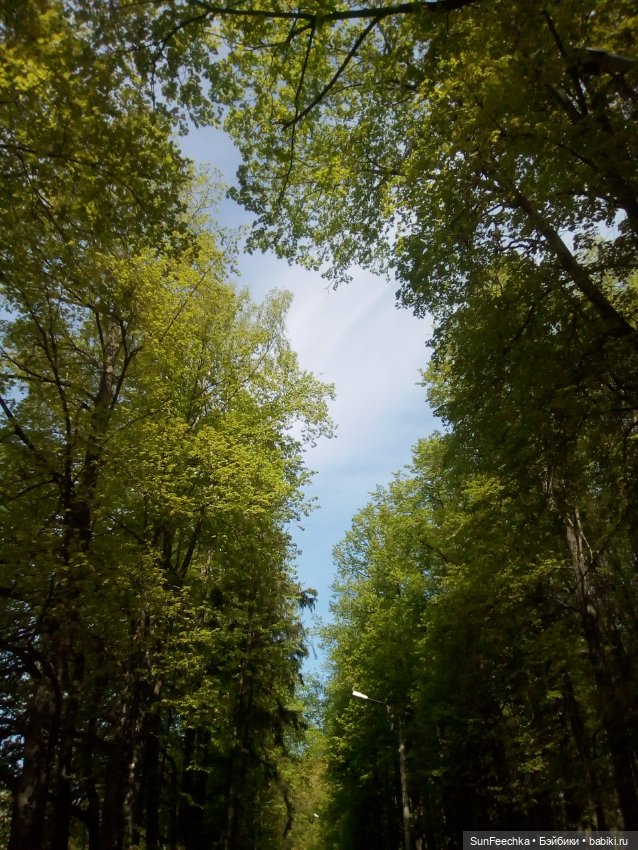 ВиктОр и его хобби — Коллекции игровых кукол (Playline): фото полок