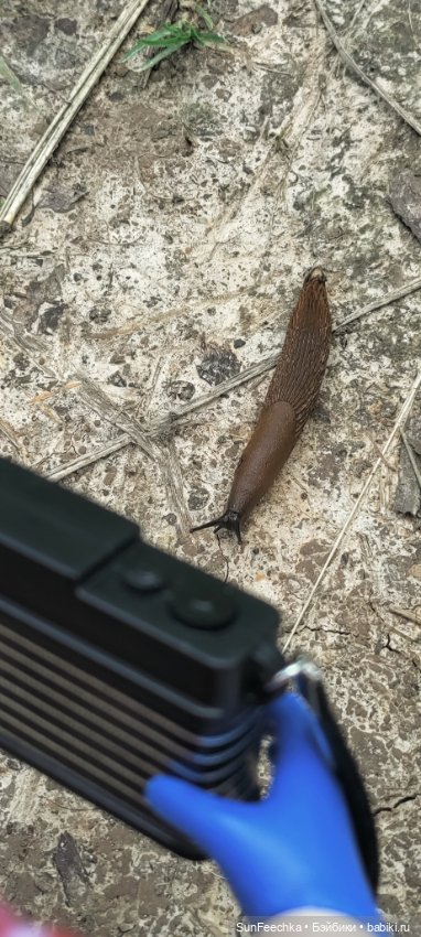 ВиктОр и его хобби — Коллекции игровых кукол (Playline): фото полок (фото 7)