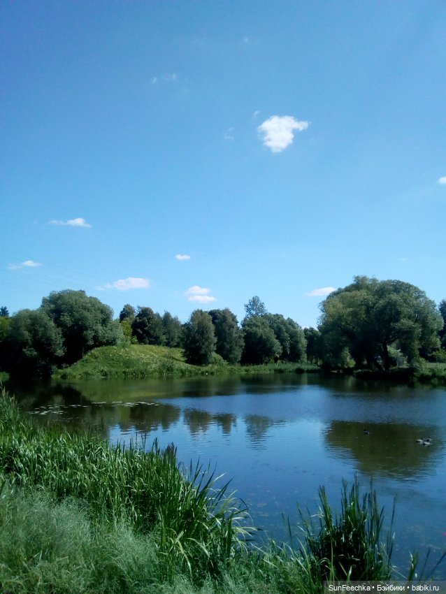 ВиктОр и его хобби — Коллекции игровых кукол (Playline): фото полок