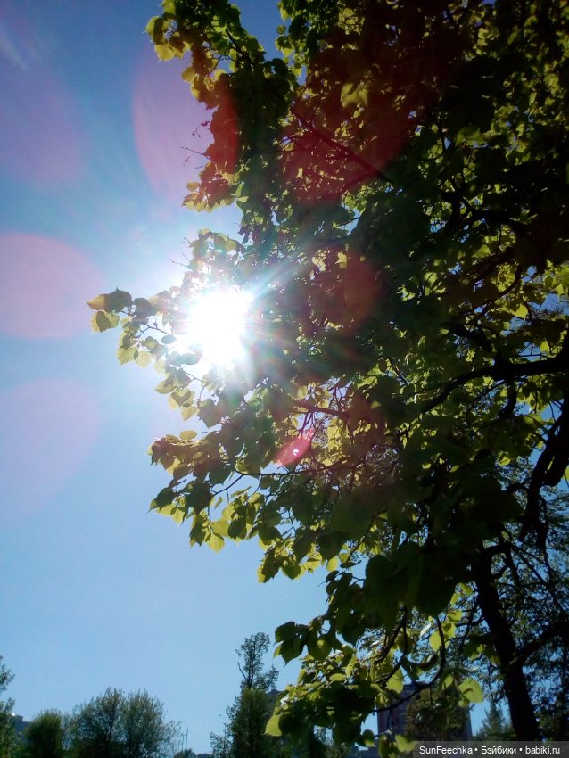 ВиктОр и его хобби — Коллекции игровых кукол (Playline): фото полок