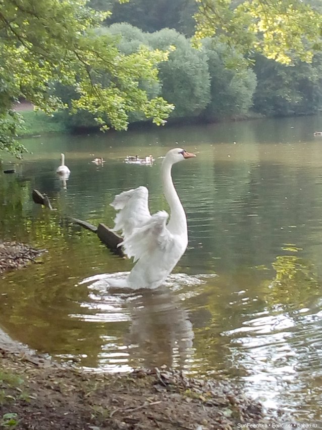 ВиктОр и его хобби — Коллекции игровых кукол (Playline): фото полок