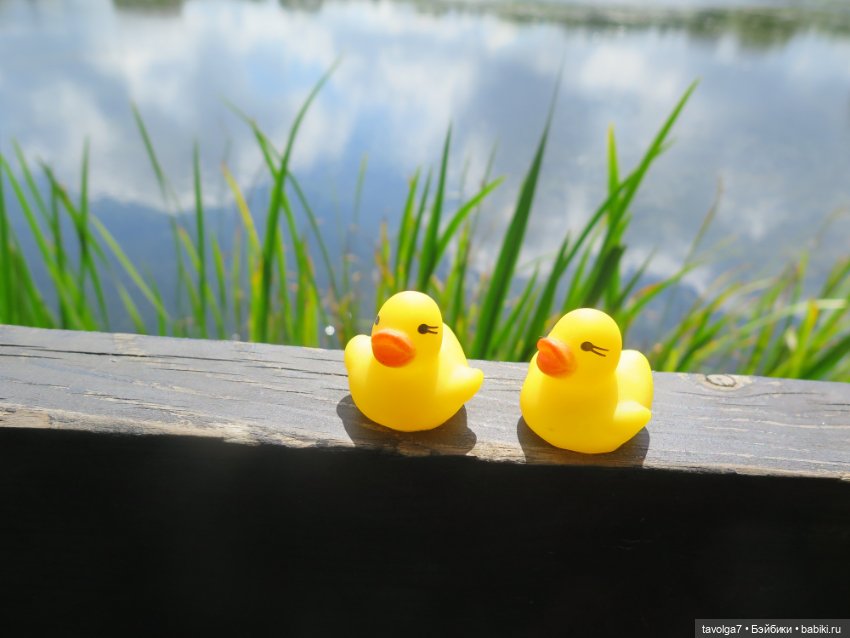 Дачницы — Домашние коллекции кукол: фото собраний (фото 2)